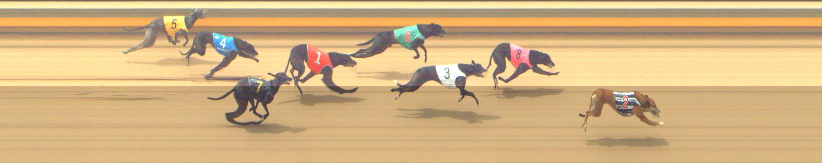 Photo finish for Shepparton Race 14