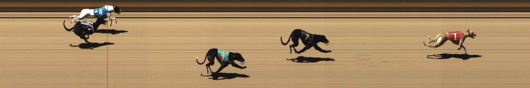 Photo finish for Shepparton Race 1