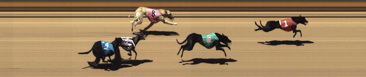 Photo finish for Shepparton Race 2