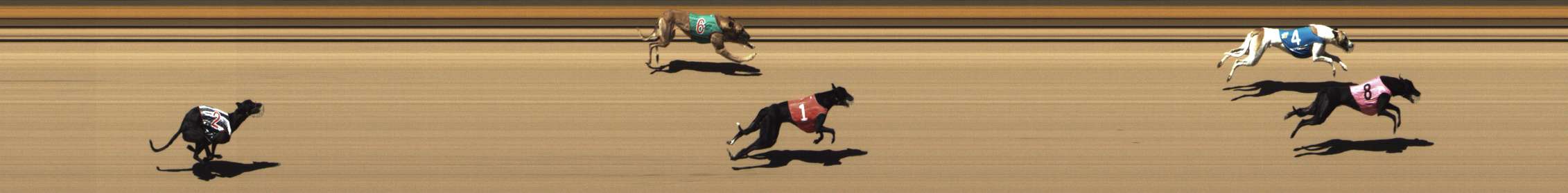 Photo finish for Shepparton Race 3