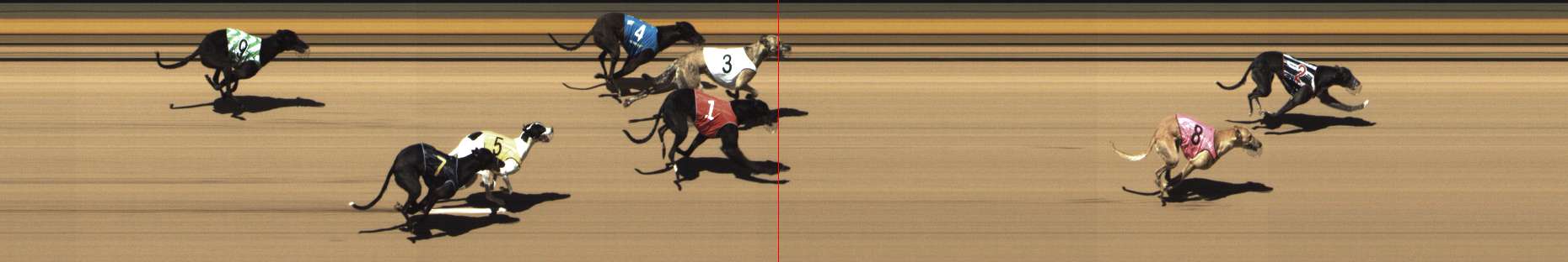Photo finish for Shepparton Race 4
