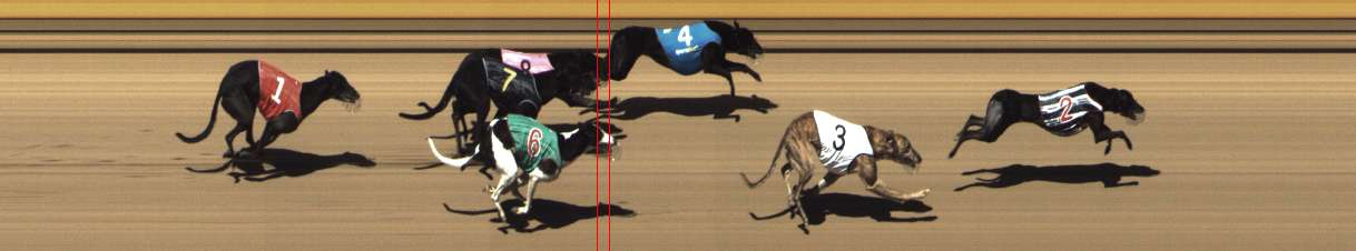Photo finish for Shepparton Race 5