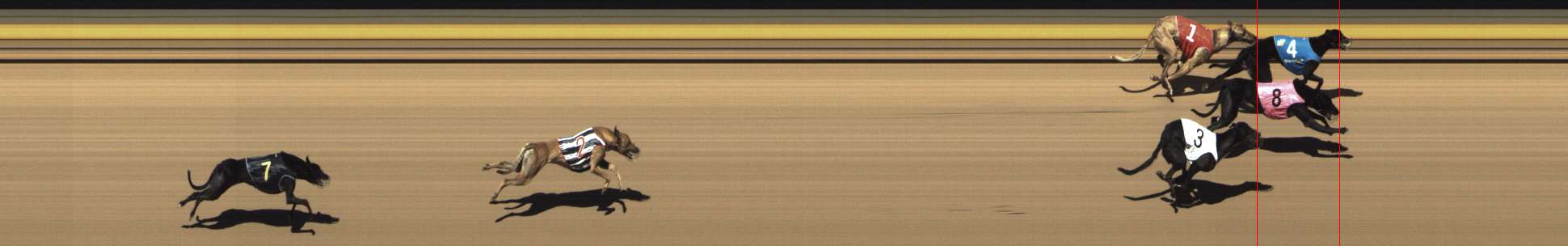 Photo finish for Shepparton Race 6