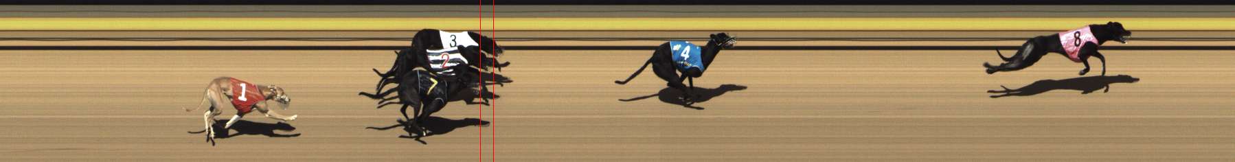 Photo finish for Shepparton Race 7