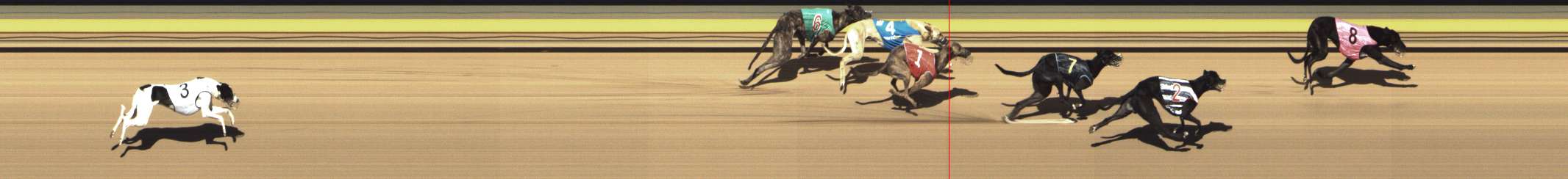 Photo finish for Shepparton Race 8