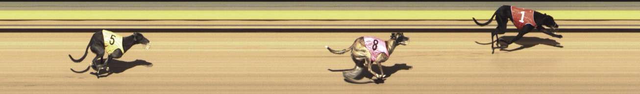 Photo finish for Shepparton Race 9