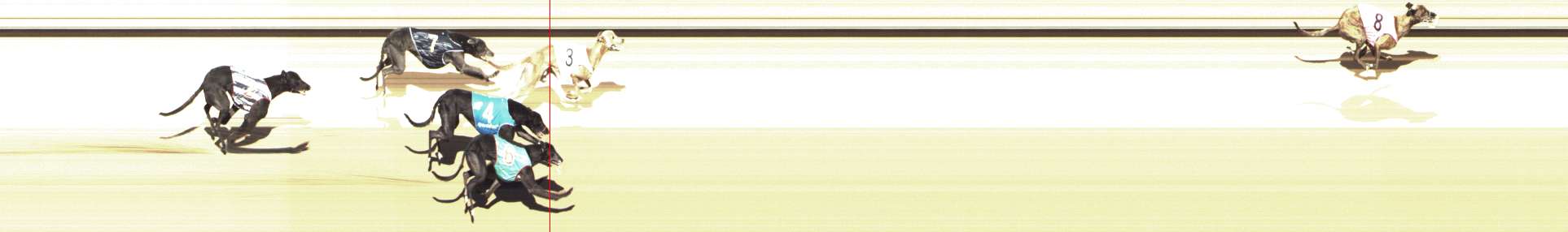 Photo finish for Shepparton Race 10