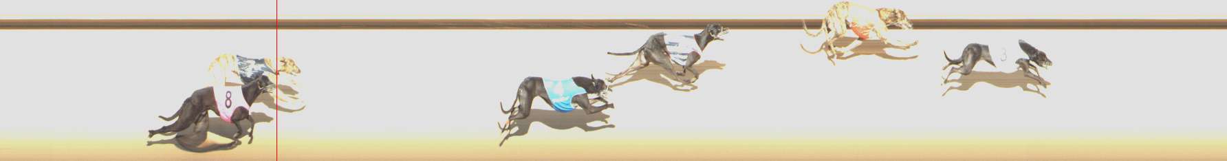 Photo finish for Shepparton Race 11