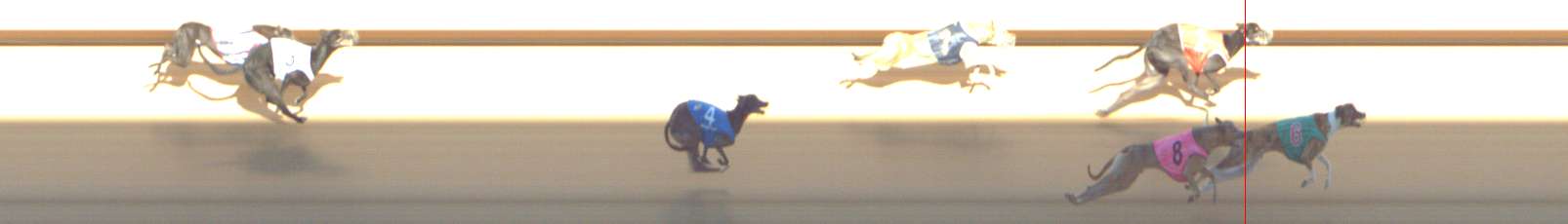 Photo finish for Shepparton Race 12