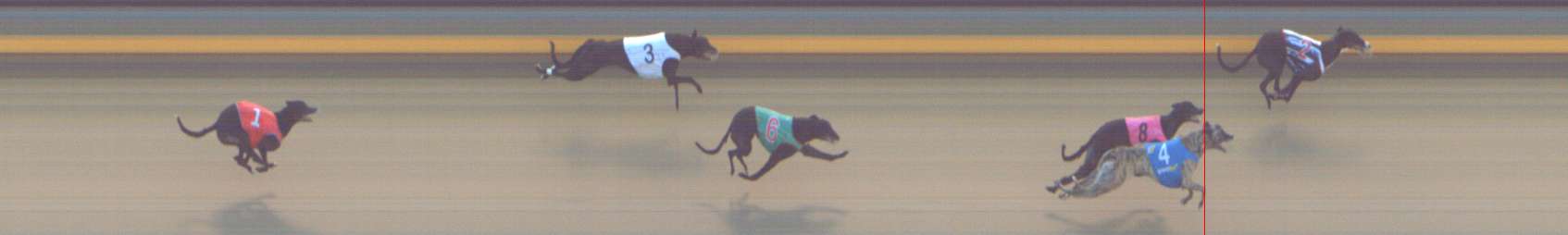 Photo finish for Shepparton Race 13