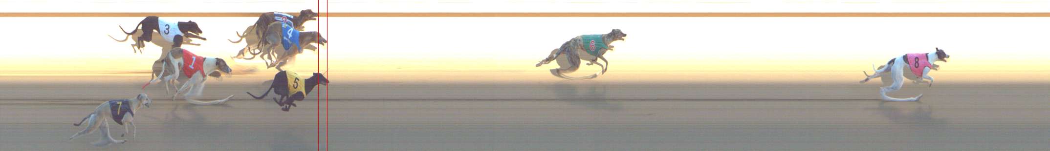 Photo finish for Shepparton Race 14