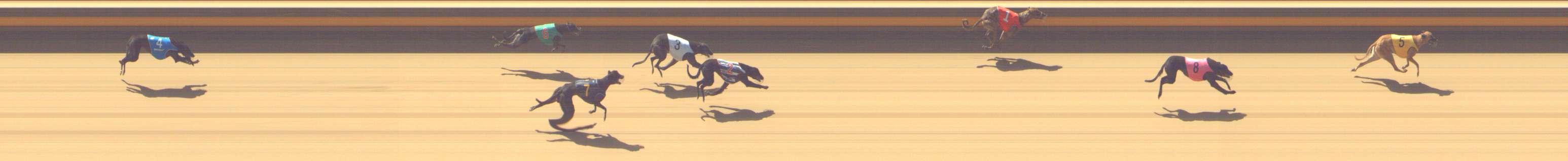 Photo finish for Shepparton Race 1
