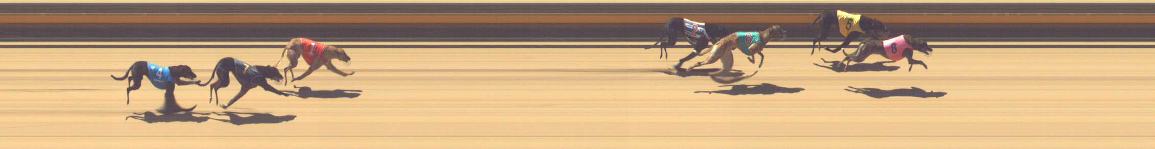 Photo finish for Shepparton Race 3