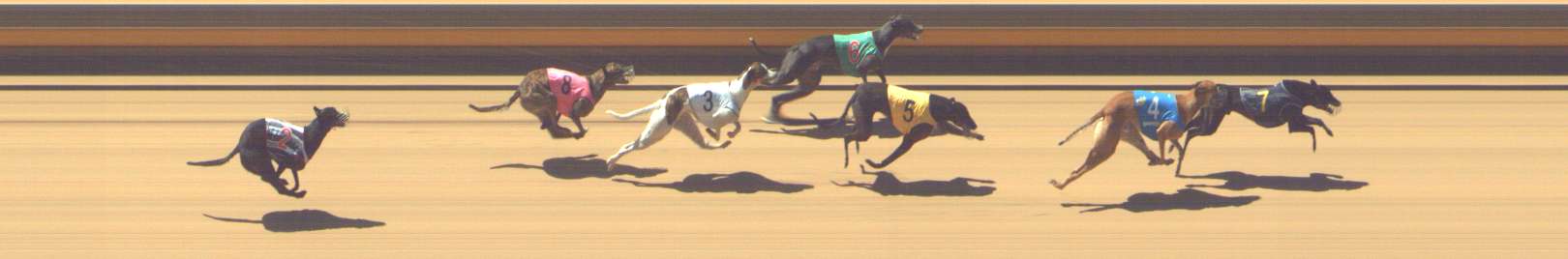 Photo finish for Shepparton Race 4