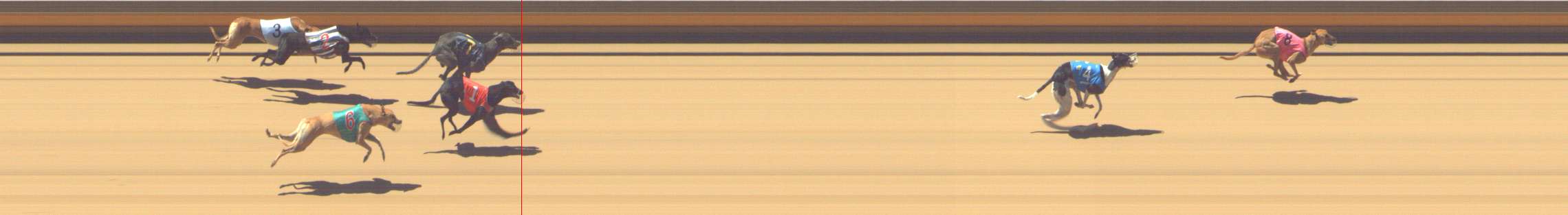 Photo finish for Shepparton Race 5