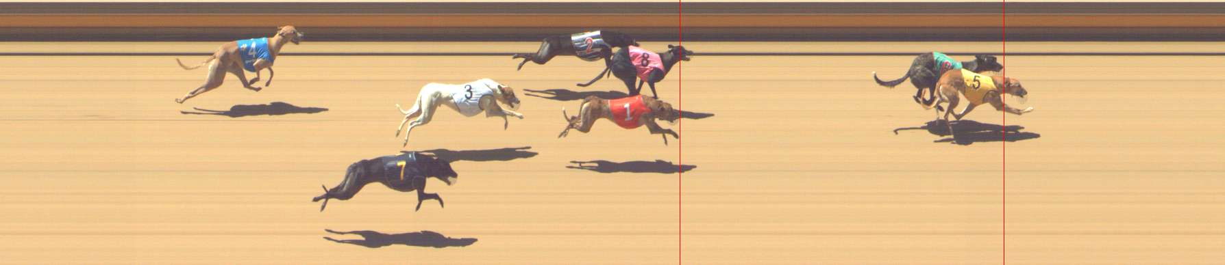 Photo finish for Shepparton Race 6