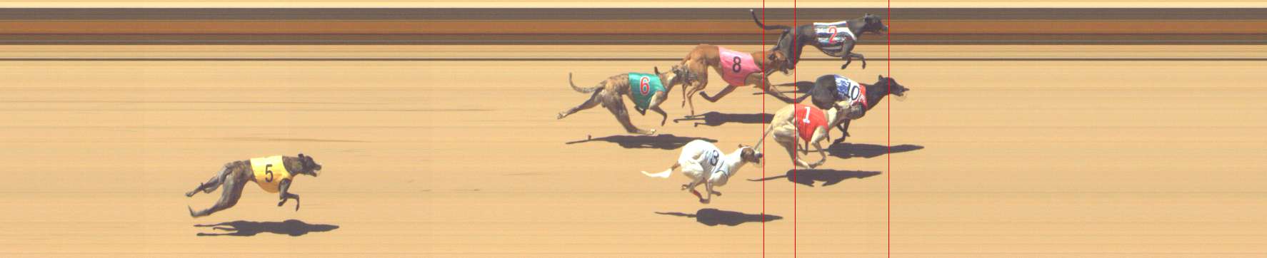 Photo finish for Shepparton Race 8