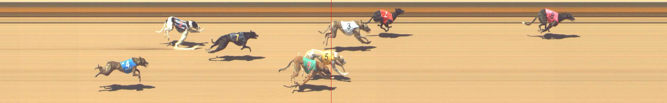 Photo finish for Shepparton Race 9