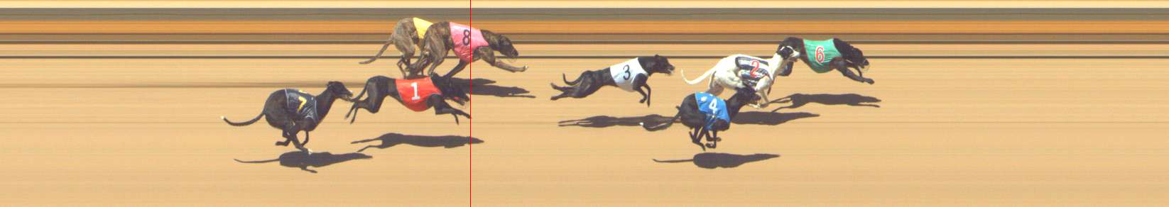 Photo finish for Shepparton Race 10