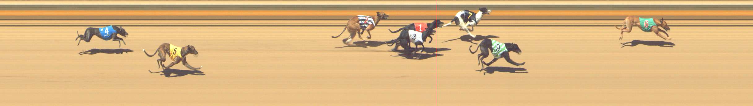Photo finish for Shepparton Race 11