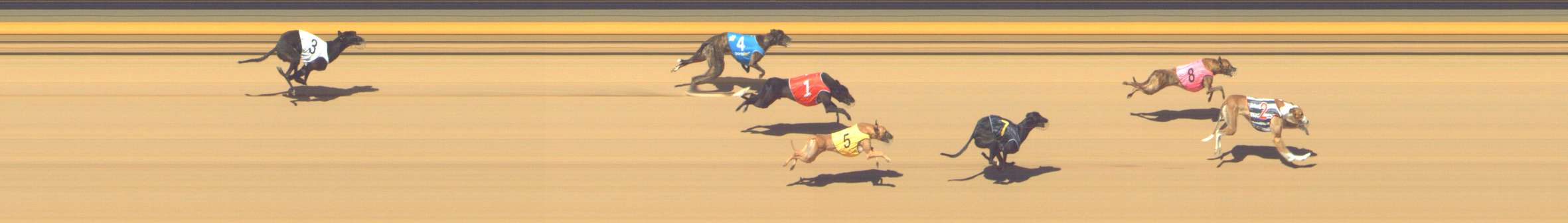 Photo finish for Shepparton Race 13