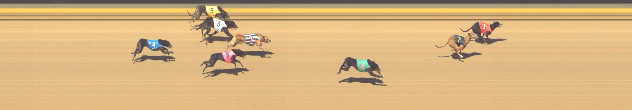 Photo finish for Shepparton Race 14