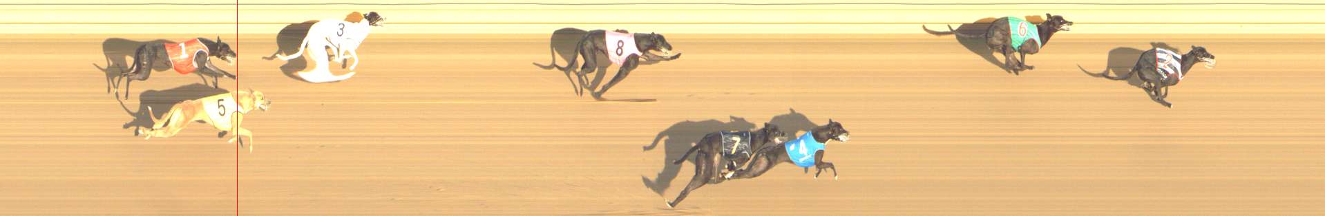 Photo finish for Shepparton Race 1