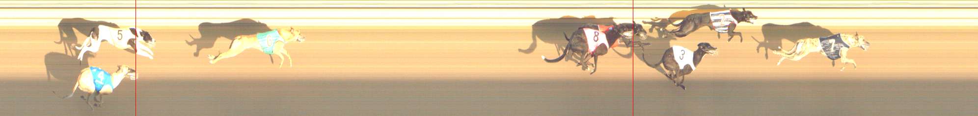 Photo finish for Shepparton Race 2