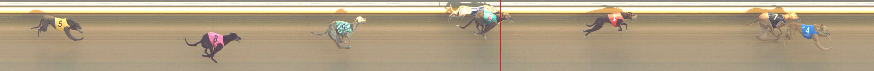 Photo finish for Shepparton Race 3