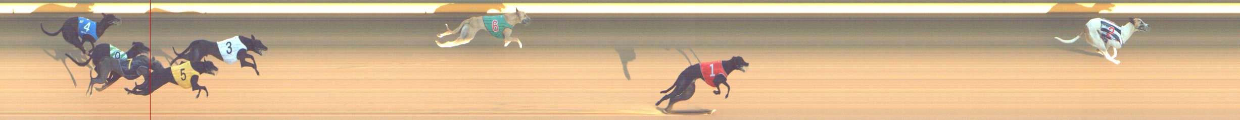 Photo finish for Shepparton Race 4