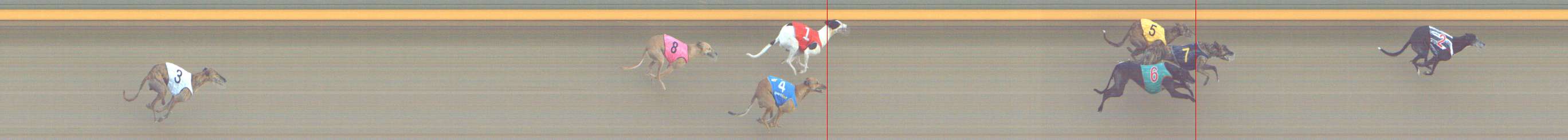 Photo finish for Shepparton Race 5