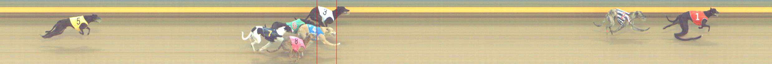 Photo finish for Shepparton Race 6
