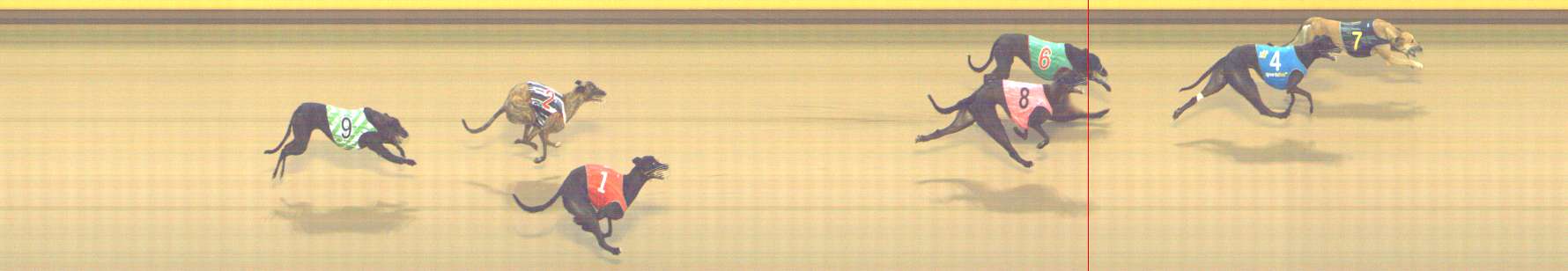 Photo finish for Shepparton Race 7