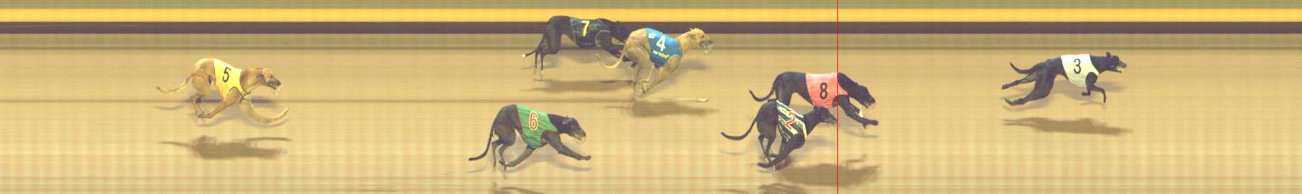 Photo finish for Shepparton Race 9