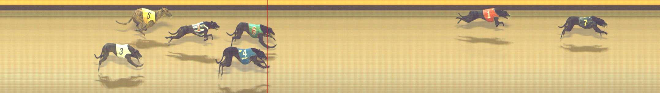 Photo finish for Shepparton Race 10