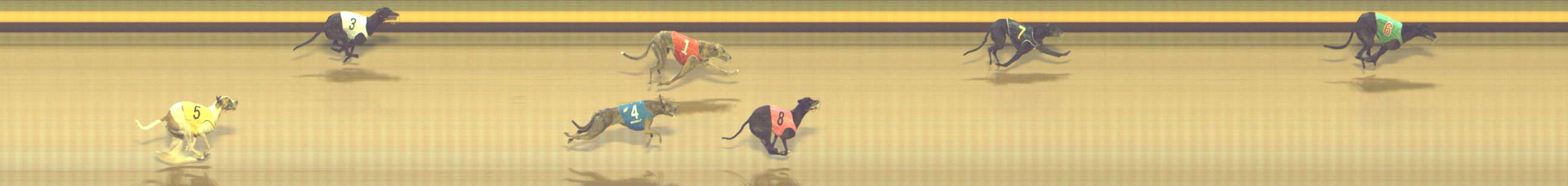 Photo finish for Shepparton Race 11
