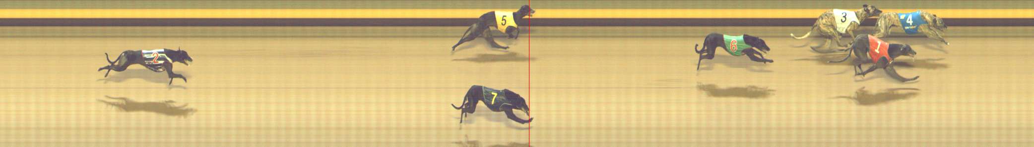 Photo finish for Shepparton Race 12