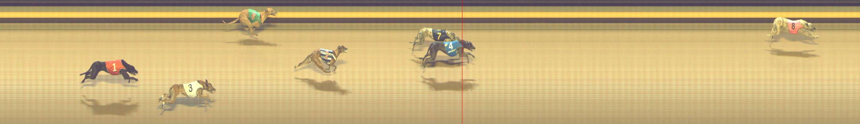 Photo finish for Shepparton Race 13
