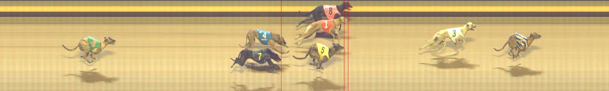 Photo finish for Shepparton Race 14