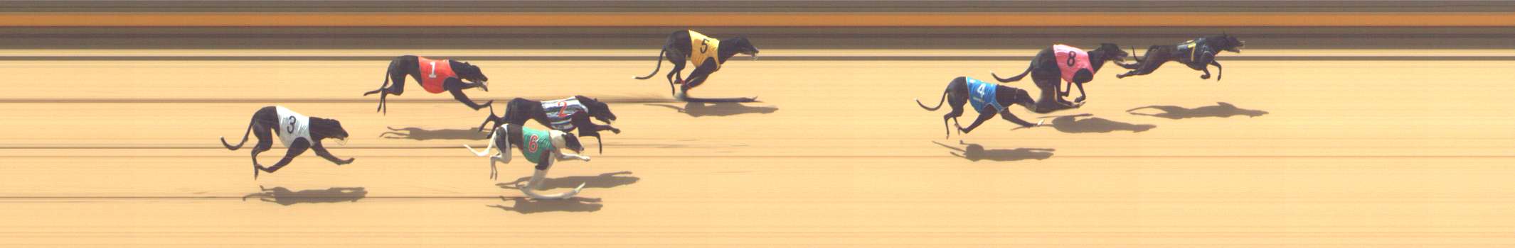 Photo finish for Shepparton Race 1