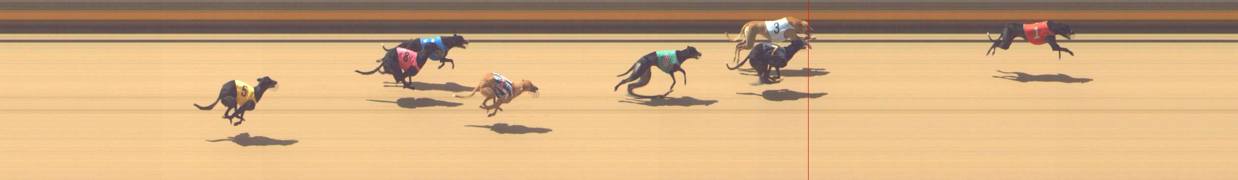 Photo finish for Shepparton Race 2