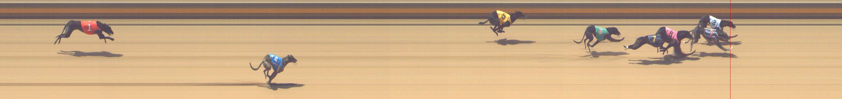 Photo finish for Shepparton Race 4