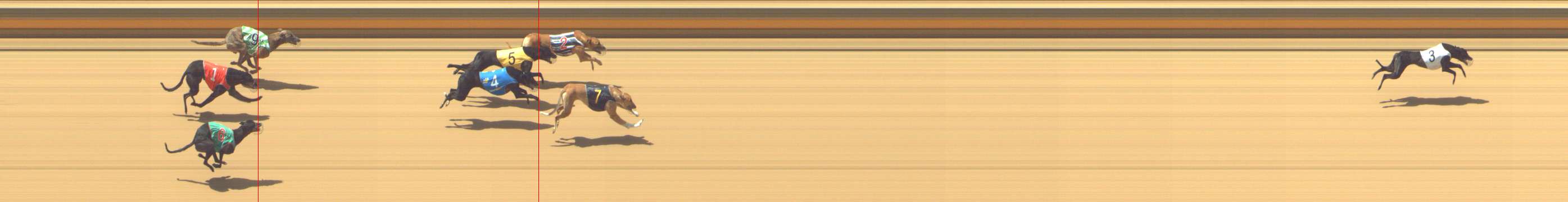 Photo finish for Shepparton Race 5