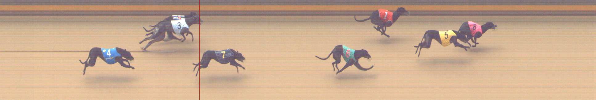 Photo finish for Shepparton Race 6