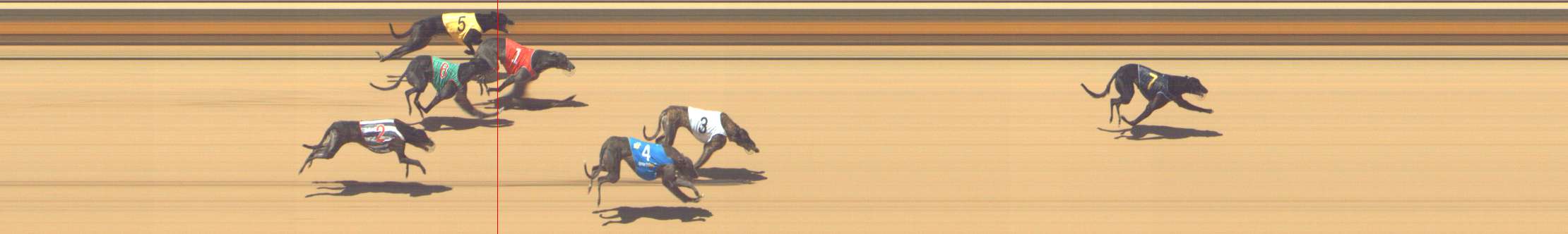 Photo finish for Shepparton Race 7