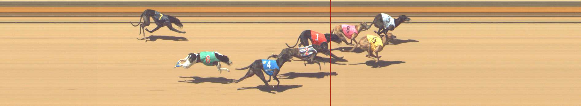 Photo finish for Shepparton Race 8