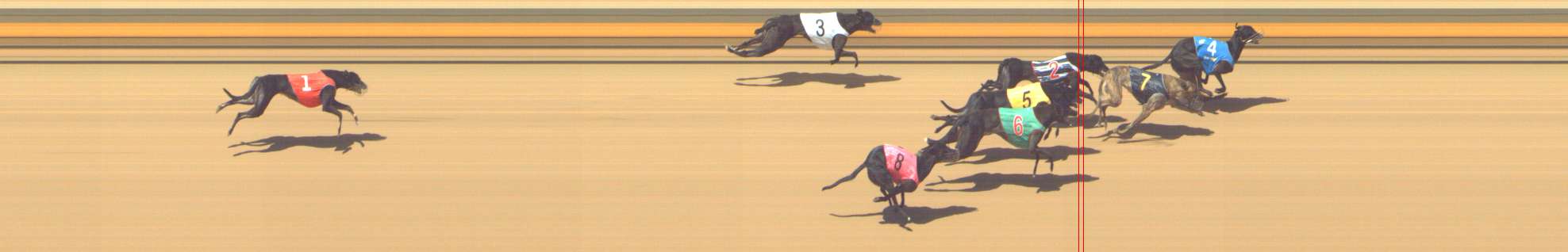 Photo finish for Shepparton Race 9