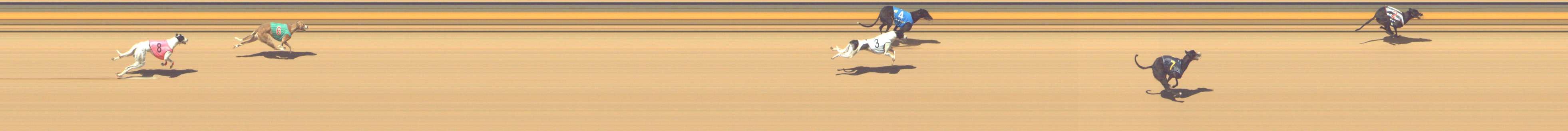 Photo finish for Shepparton Race 10