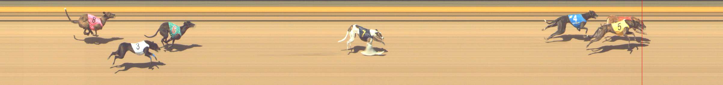 Photo finish for Shepparton Race 11