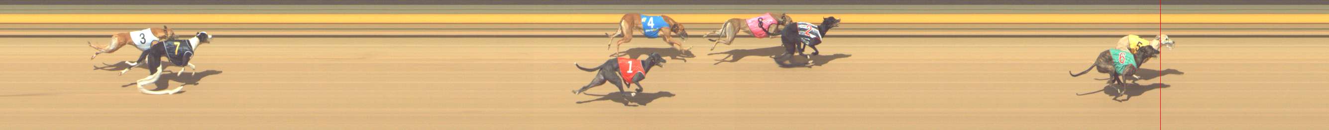 Photo finish for Shepparton Race 12